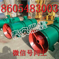 FBCD№5.0/2×5.5防爆通风机