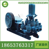 BW-850/2B泥浆泵参数规格 泥浆泵直售