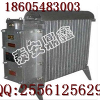 RB2000/127电热取暖器，2KW矿用取暖器