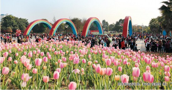 春节游玩好去处：柳州市区风景美 县域民俗乐(图)