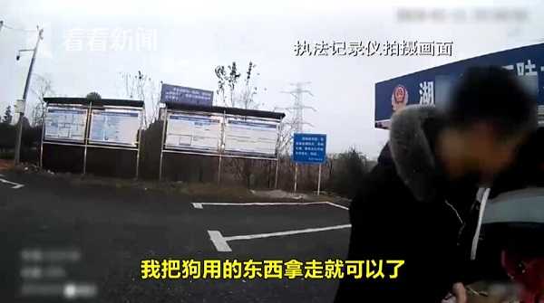 男子高速无证驾驶送爱犬回老家：我这狗七八千呢