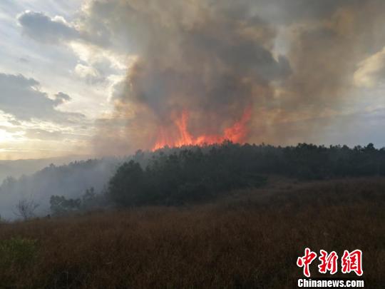 云南大理海东森林火灾得有效控制部分地段仍存烟点
