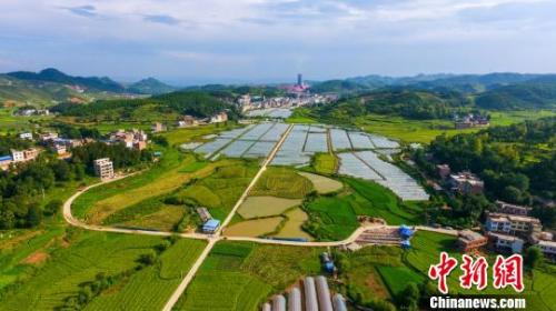 资料图：农户把土地托管给公司，由公司代其管理土地、组织生产。从整地、播种到施肥、机耕再到收粮、销售提供全程服务，农户交一定的农资费和托管费，就可以等待收获。 杨建伟 摄