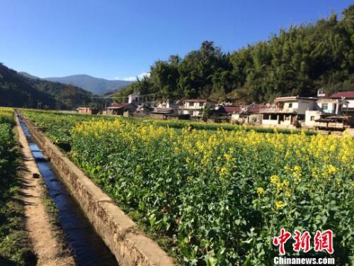 资料图：经过平整的山区土地成了丰收的良田。 申冉 摄