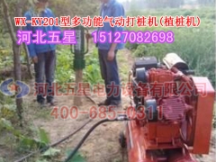 宁夏高效防洪打桩机“多种机型展示”便携式应急植桩打桩机图2