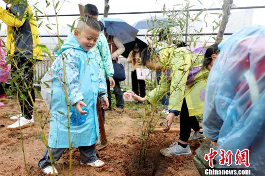 小朋友在园艺师指导下，将70株小竹苗种植在园区绿化种植区内。 供图 摄