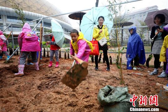 厦门植树节公益活动：小朋友为大熊猫种“口粮”