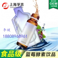食字号蓝莓酵素饮品加工/胶原蛋白饮品oem贴牌加工
