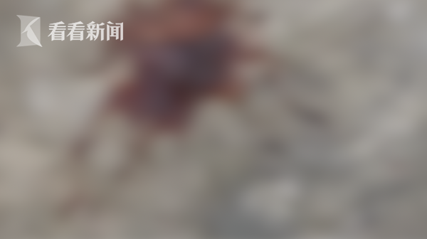 屏幕快照 2019-03-21 下午10.29.06.png