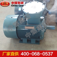 防爆电机 防爆电机现货