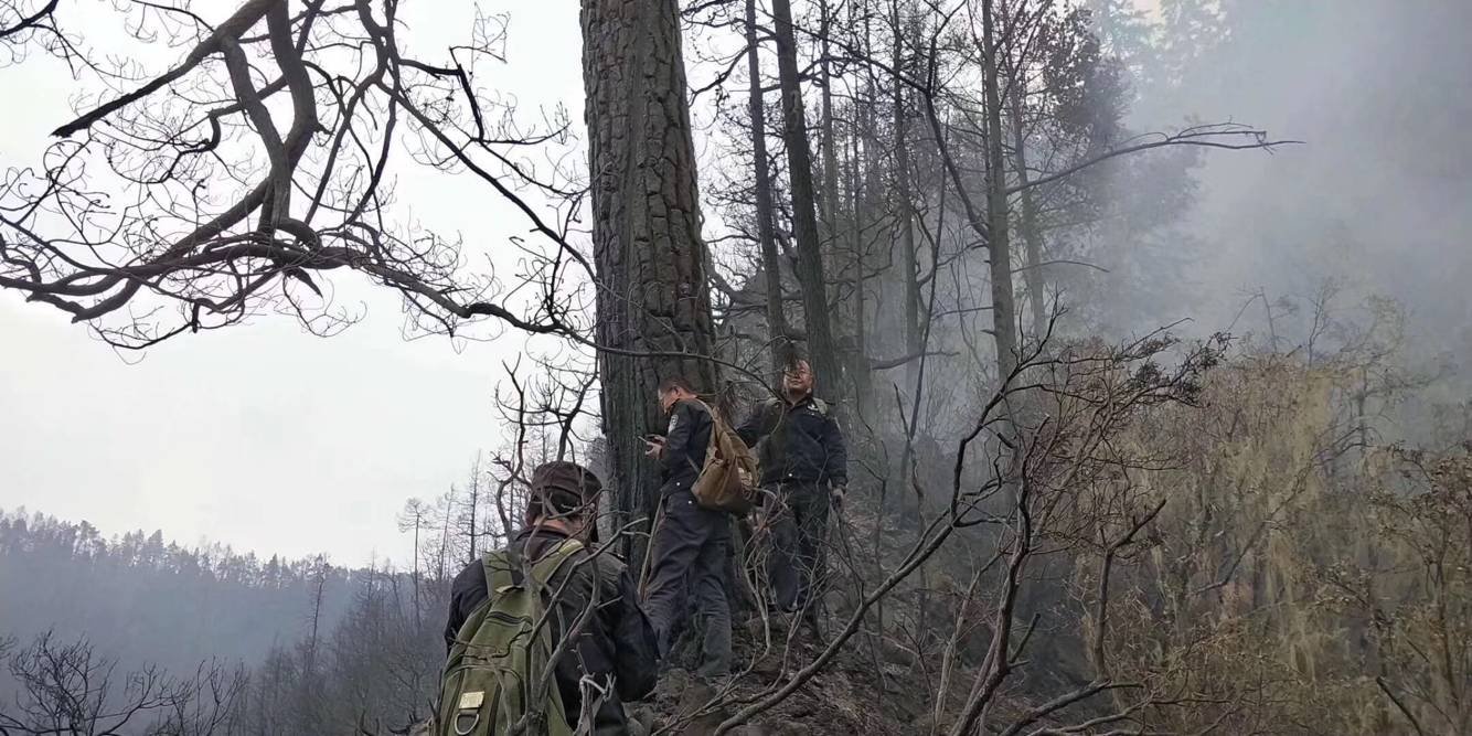 凉山大火确认为雷击火 着火点为1棵80年树龄云南松