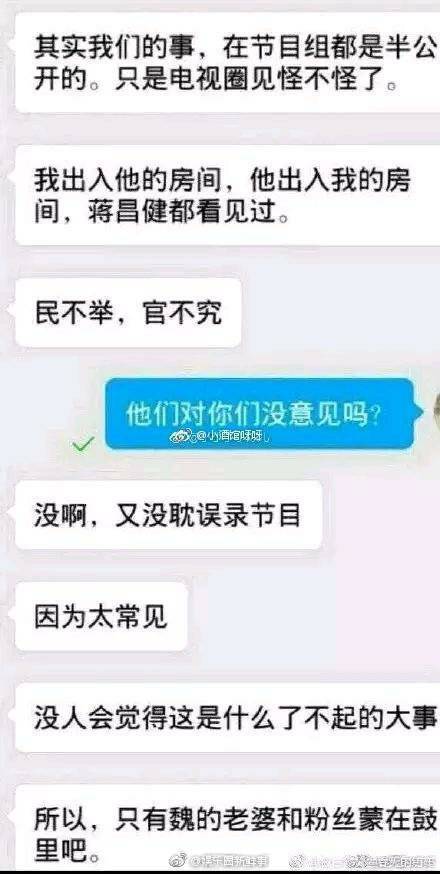 曝魏坤琳出轨《最强大脑》桑洁 两人露骨互动被扒