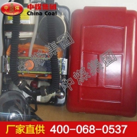 HYZ-2正压氧气呼吸器 HYZ-2正压氧气呼吸器厂家直销