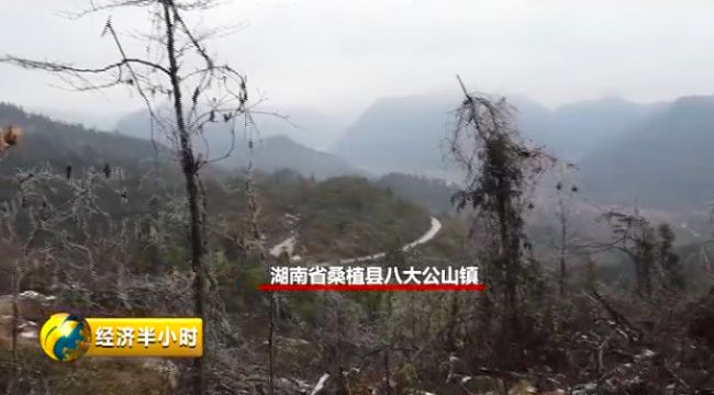 河南扶贫房墙砖一掰就碎 政府为糊弄检查干这事