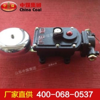 隔爆型声光组合电铃 BAL矿用隔爆型声光组合电铃提供