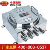 本安型防爆接线箱 BXJ52本安型防爆接线箱货源