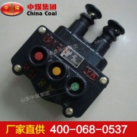 矿用控制按钮 BZA1矿用控制按钮现货