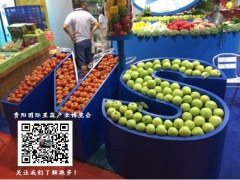 2019贵阳果蔬加工包装设备展览会13121557087金涛图1
