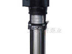 CDLF轻型立式多级泵图2