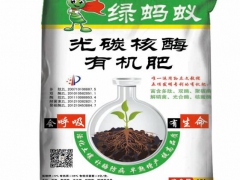 绿蚂蚁光碳核酶有机肥、菌剂、有机肥、果蔬专用肥、底肥、图1