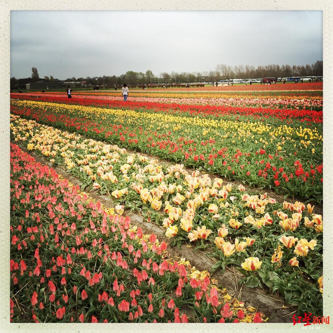 1557293373472126.jpg 416970625044636870.jpg