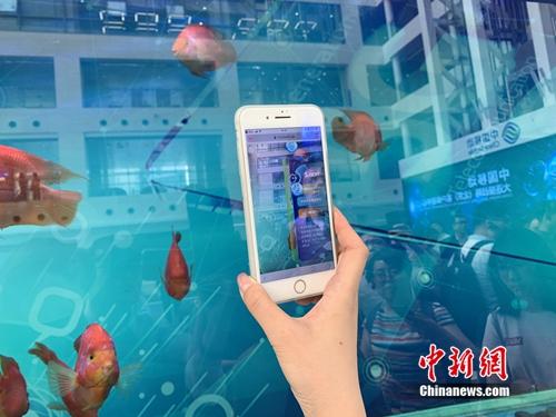 5G智慧鱼缸。中新网 吴涛 摄
