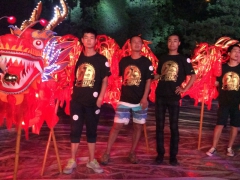 北京舞龙舞狮团队北京专业舞狮表演鸿腾海洲舞狮团演出图1