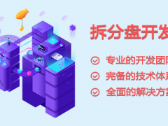 大同双轨直销系统互助模式拆分盘奖金制度开发图1