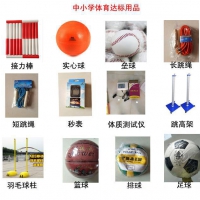 中小学达标器材生产厂家