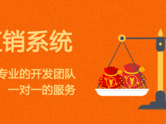伊春直销软件股权拆分返利商城双轨循环矩阵级差软件开发图2