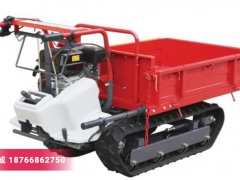 广西钦州迷你汽油履带式果园装载车 多功能田园搬运车水田运苗车图3