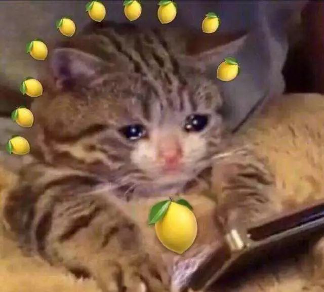 t0128d6395b054c4f8d.jpg?size=640<em></em>x577