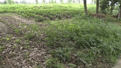 t01ee8b10ea24ae91fc.gif?size=400<em></em>x225