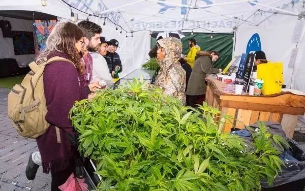 t015da41ad7647aa67a.jpg?size=600<em></em>x376