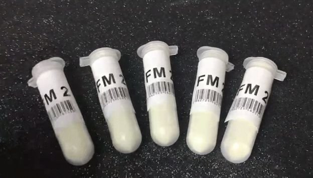 t0172543dc4158475c7.jpg?size=624x355