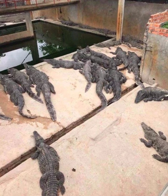 t015ad9a58f099281ba.jpg?size=584x681