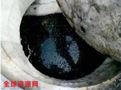 上海垃圾车司机混运垃圾 偷排污水进雨水窖井获刑