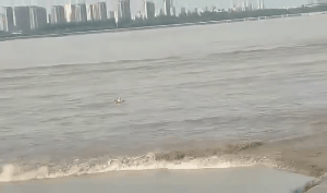 两名河北女游客在威海游玩被海浪卷走 遗体被找到