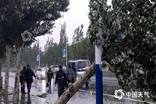 东北仍遭“台风雨” 南方8省市区气温超37℃