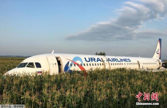 俄客机撞鸟群迫降致75伤 机长解释玉米地着陆原因