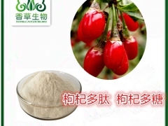 枸杞提取物红枸杞浓缩浸膏枸杞肽枸杞果膳食纤维红枸杞冲饮品原料图1