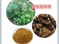 白藜芦醇98% 虎杖提取物50:1 虎杖纯粉 虎杖浓缩浸膏图1