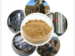 白藜芦醇98% 虎杖提取物50:1 虎杖纯粉 虎杖浓缩浸膏图3