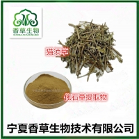 石草提取物10:1 化石草粉 猫须草浓缩浸膏 肾茶浓缩液