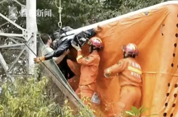 穿绝缘防蜂服爬高压电塔摘蜂窝 男子仍电击被困