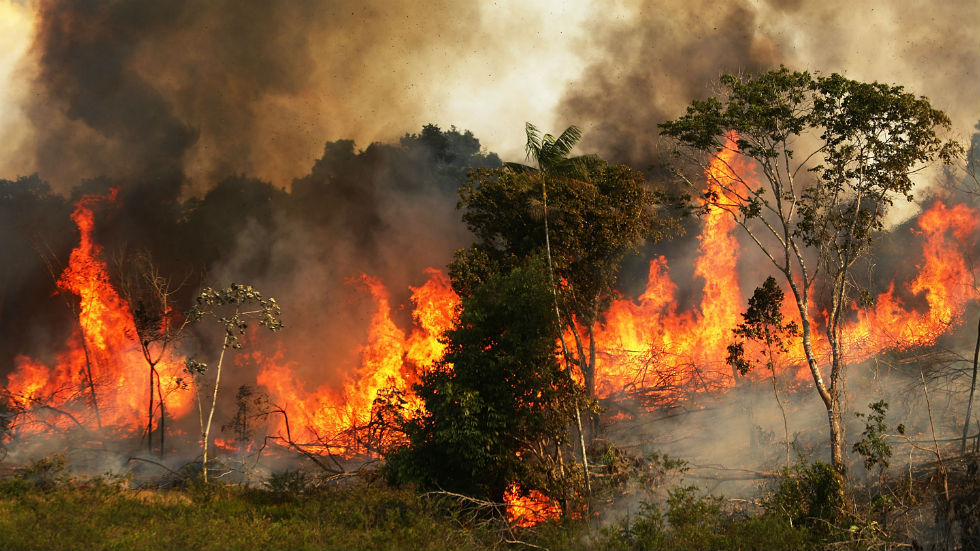  亚马逊雨林大火已经持续燃烧了三个星期。（图源：国会山报）