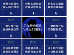 绿叶花猫云商全国招募合伙人图2