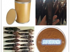 鹿筋提取物65:1鹿筋粉厂家直销鹿筋冻干粉 鹿蹄筋浓缩粉批发图2