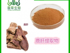 鹿筋提取物65:1鹿筋粉厂家直销鹿筋冻干粉 鹿蹄筋浓缩粉批发图3