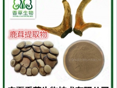 鹿茸提取物宁夏厂家 鹿茸活性肽 鹿茸粉批发鹿角冻干粉鹿角胶粉图1